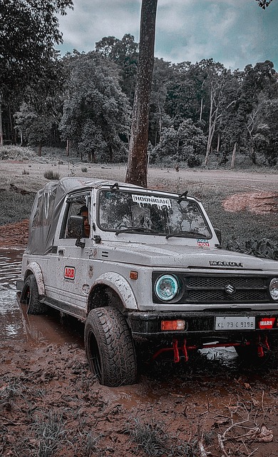 这一决定立 这一决定立