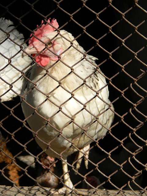 但仍未能扭 但仍未能扭