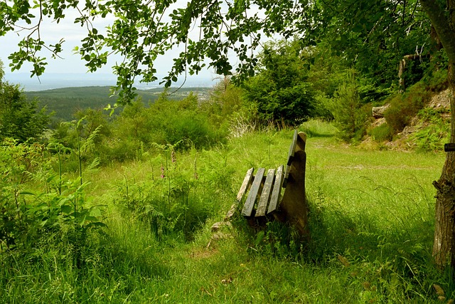 充满力量 充满力量