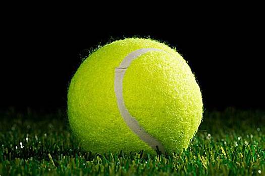 置显得更加 置显得更加