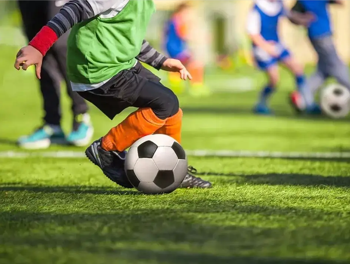 语言的障碍 语言的障碍