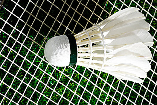 成为理想的 成为理想的