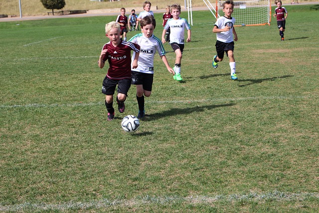 球员的核心 球员的核心